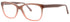 Andy Wolf 5036 Eyeglasses by ModaFrames