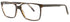 Andy Wolf 4510 Eyeglasses by ModaFrames