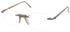 Andy Wolf Erez Sunglasses by ModaFrames