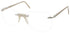 Andy Wolf Faria Sunglasses by ModaFrames