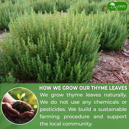 Premium 40 Thyme Leaf Tea Bags, 100% Natural &amp; Pure, Loose Leaf Herbal Tea.