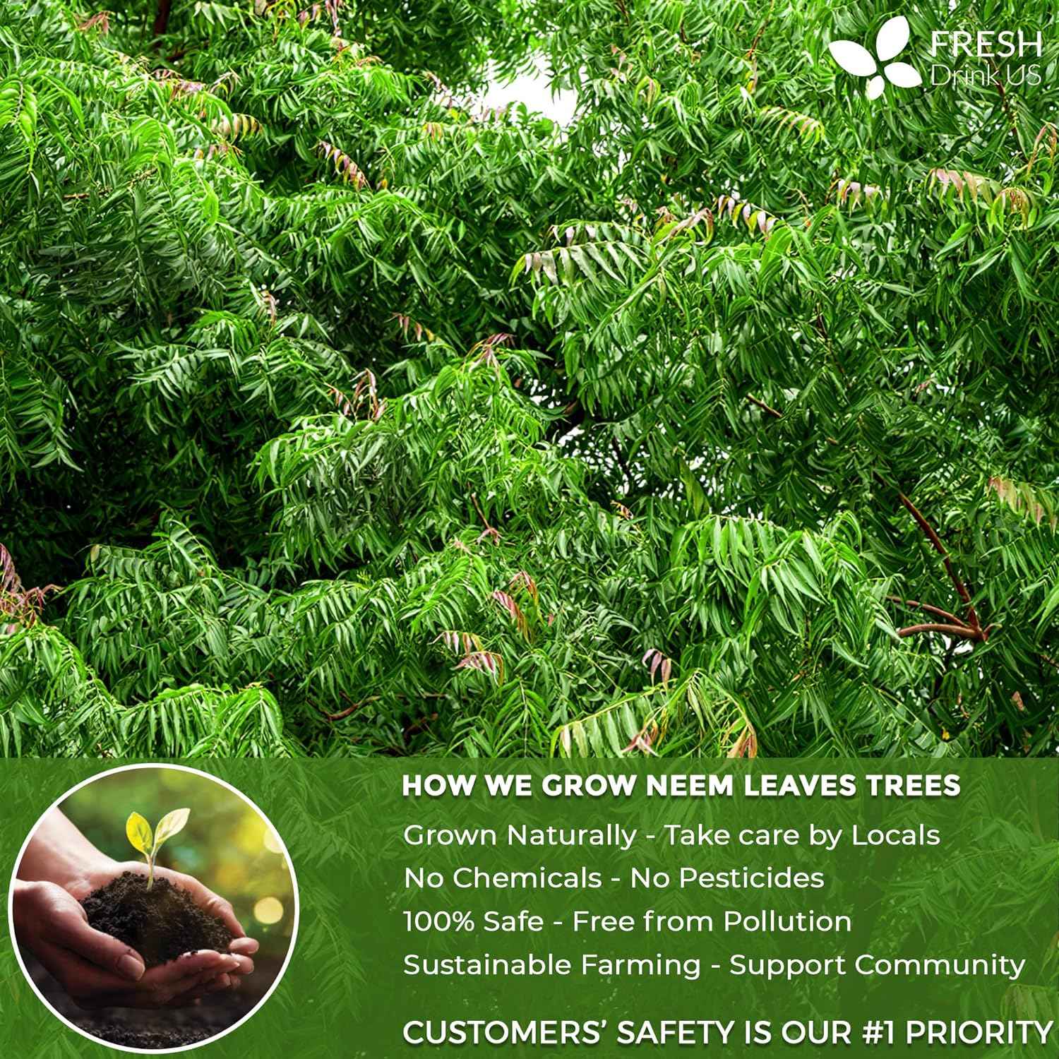 Neem Leaf Tea Bags, 100% Natural and Pure from Neem Leaves. Loose Leaf Neem Herbal Tea. Neem Leaf Tea. No Sugar, No Caffeine, No Gluten, Vegan.