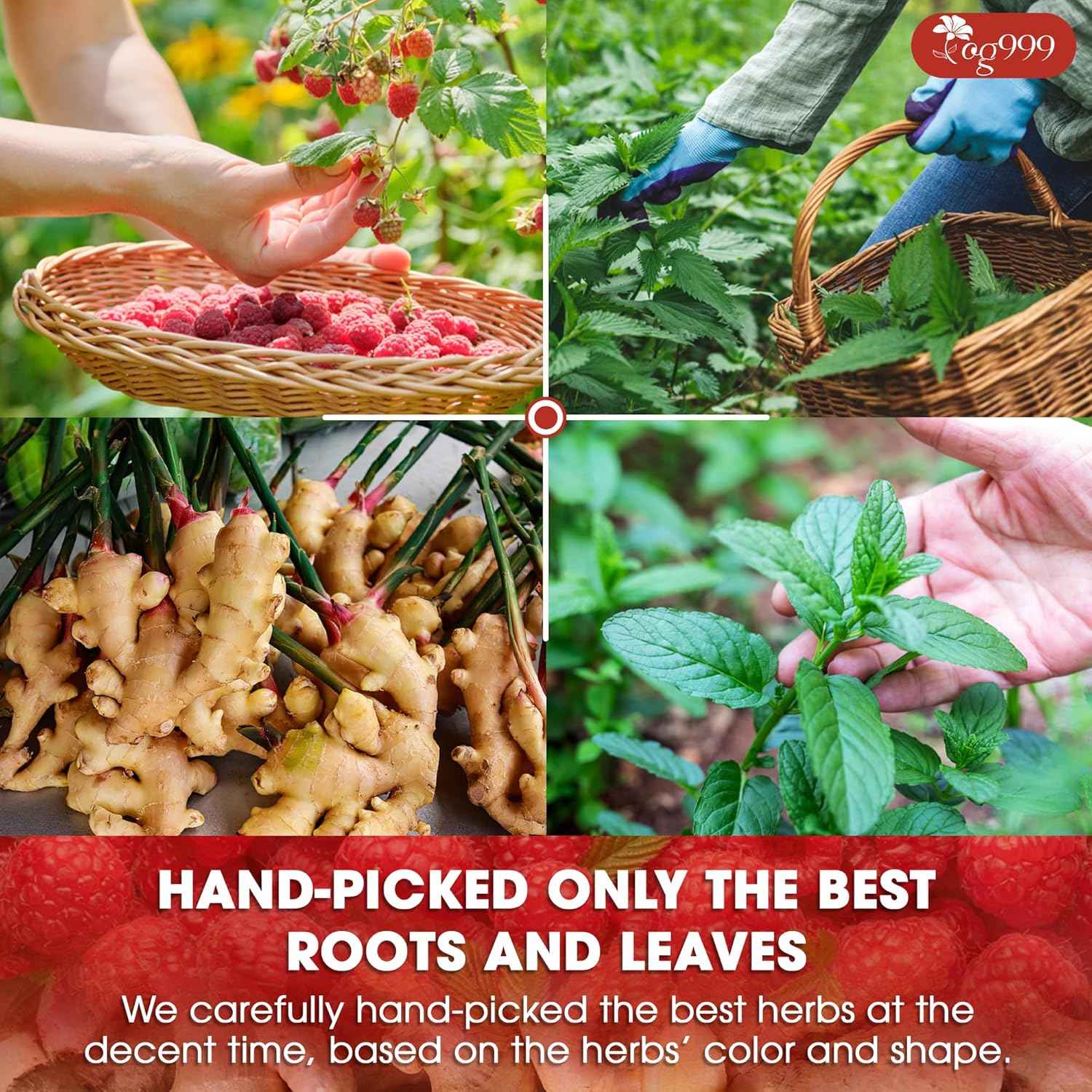 Hormone Balance Natural Menstrual Cycle Support Tea