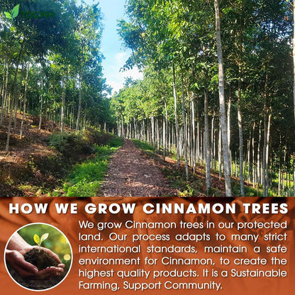 Pure Cinnamon Tea, 100% Natural &amp; Pure Cinnamon. Cinnamon Herbal Tea. Cinnamon Stick Herbal Spice Tea. No Sugar, No Caffeine, No Gluten, Vegan.