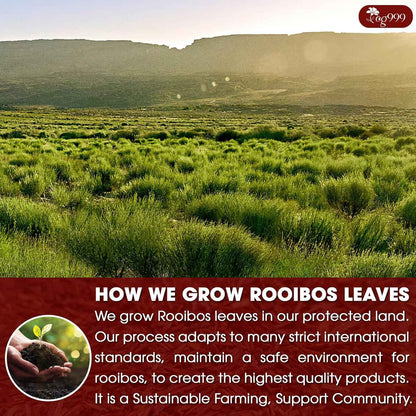 Premium Red Rooibos Tea Bags, 100% Natural &amp; Pure from Rooibos Tea Leaves. Loose Leaf Rooibos Herbal Tea. Made with Natural Material Tea Bags. No Sugar, No Caffeine, No Gluten, Vegan.