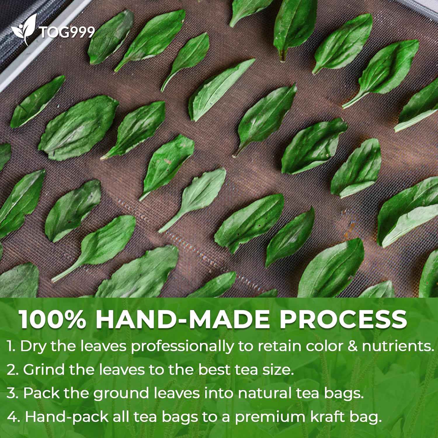 Plantain Leaf Tea Bags, 100% Natural &amp; Pure Plantain Leaves. Loose Leaf Plantain Herbal Tea. Plantain Leaf Tea. No Sugar, No Caffeine, No Gluten, Vegan.