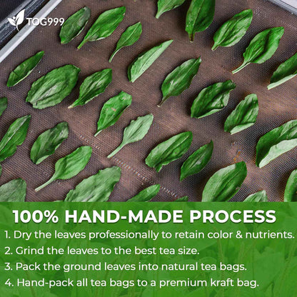 Plantain Leaf Tea Bags, 100% Natural &amp; Pure Plantain Leaves. Loose Leaf Plantain Herbal Tea. Plantain Leaf Tea. No Sugar, No Caffeine, No Gluten, Vegan.