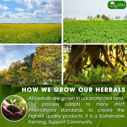 Premium Senna Peppermint Tea Bags. Relieves Constipation Natural Tea