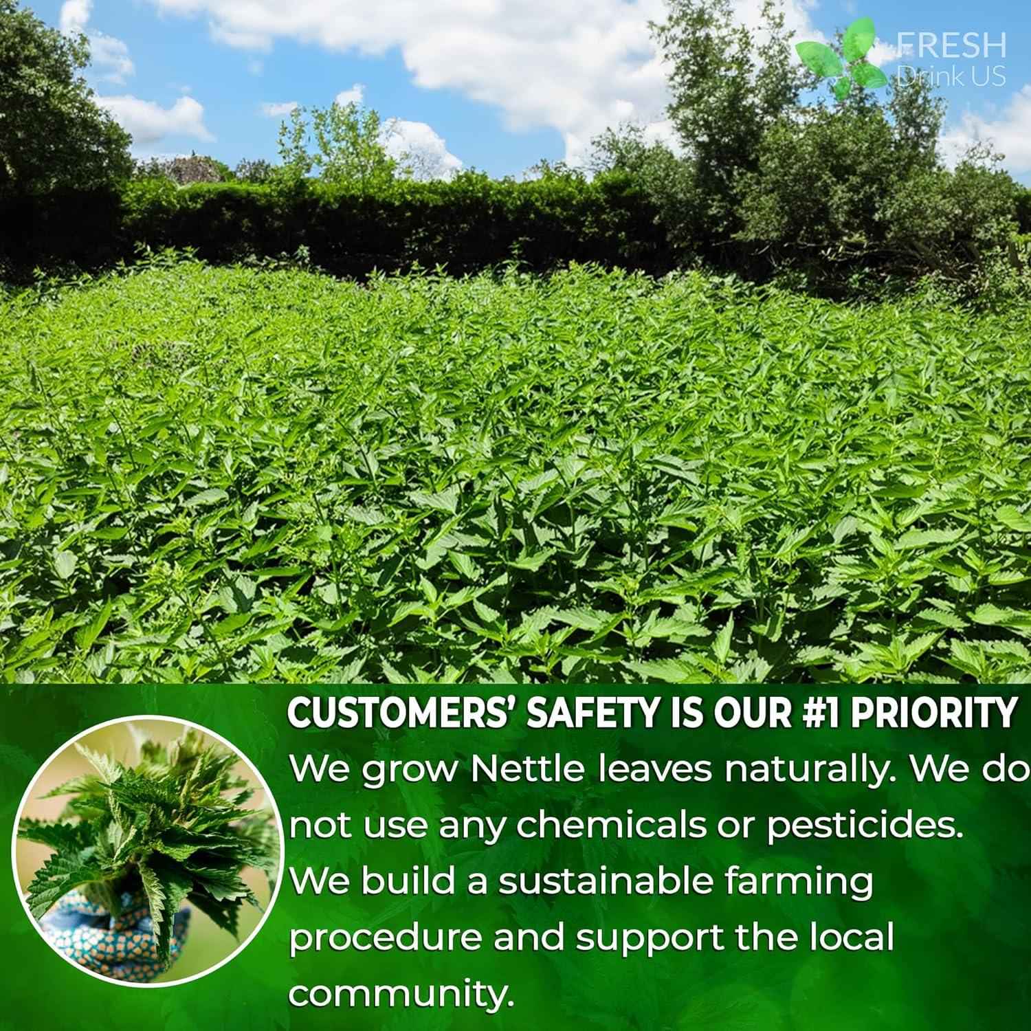 Premium Nettle Leaf Tea Bags, 100% Natural &amp; Pure, Stinging Nettle Leaf Tea, Nettle Leaf Tea, Burn Nettle, Stinging Nettle, Nettle Tea, Stinger Tea, No Sugar/Caffeine &amp; Gluten, Vegan