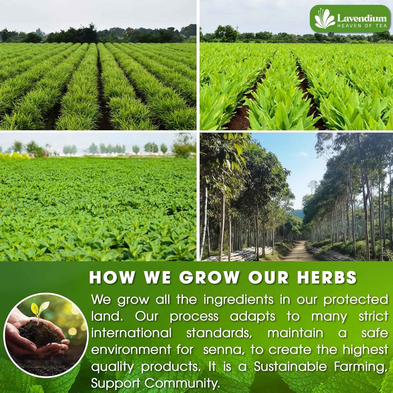 SIimming Detox Tea Caffeine Free - Herbal Tea with Chamomile, Hibiscus Tea &amp; Ginger Root