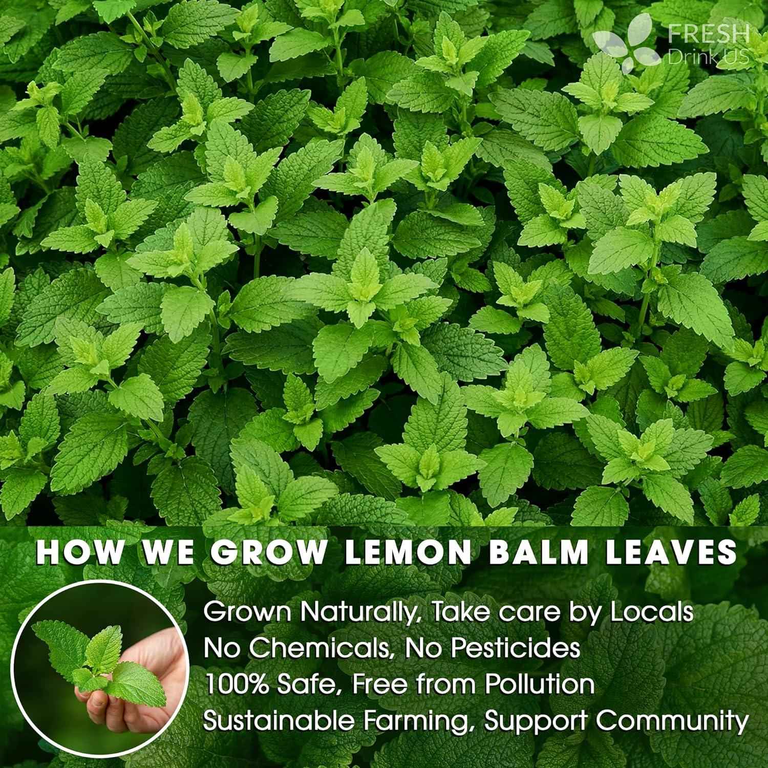 Premium Lemon Balm Leaf Tea Bags, 100% Natural &amp; Pure from Lemon Balm Leaves. Loose Leaf Lemon Balm Herbal Tea. Lemon Balm Leaf Tea. No Sugar, No Caffeine, No Gluten, Vegan.