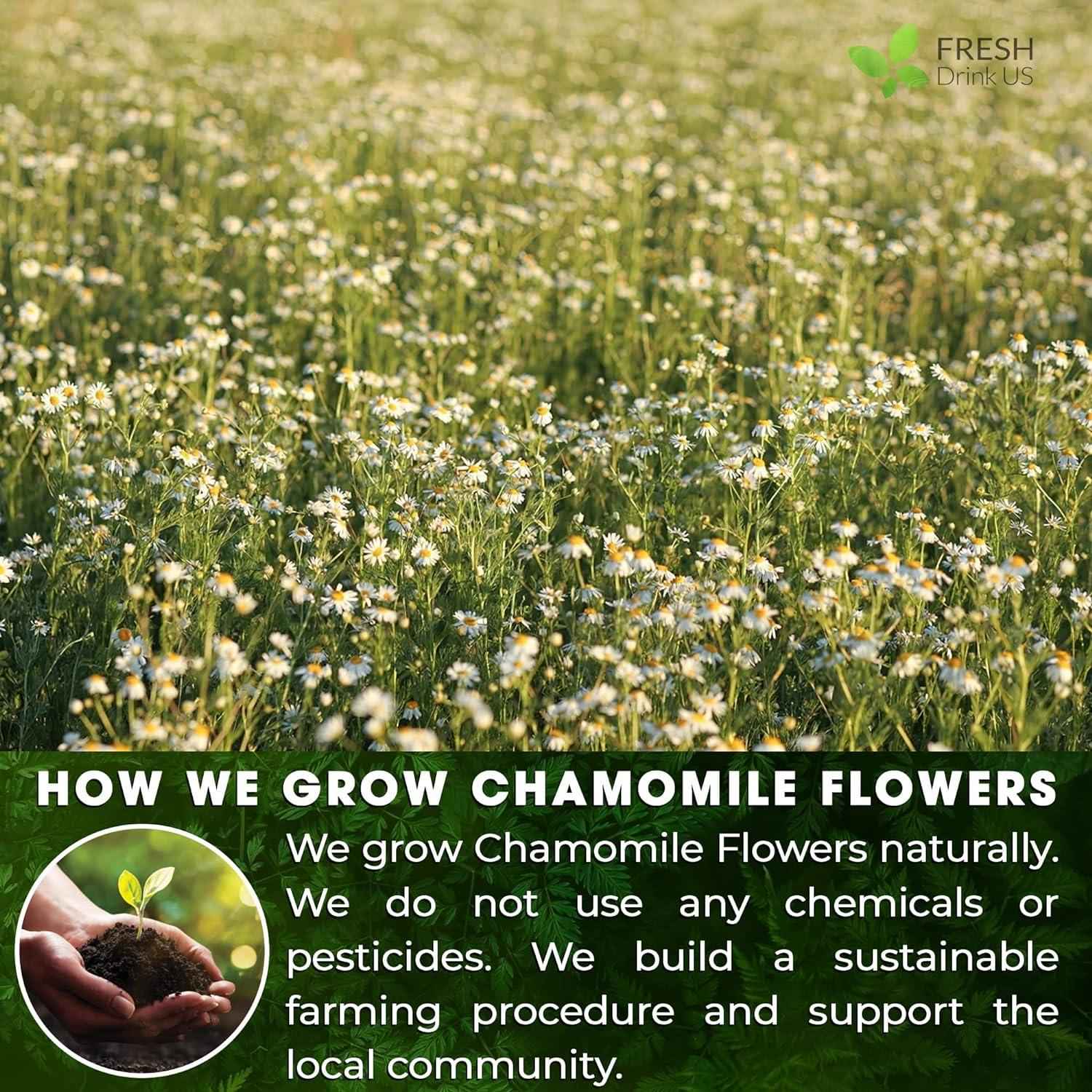 Chamomile Tea Bags, 100% Natural Chamomile, Freshly Picked, Naturally Dried Chamomile, Hand-made, Biodegradable Tea Bag