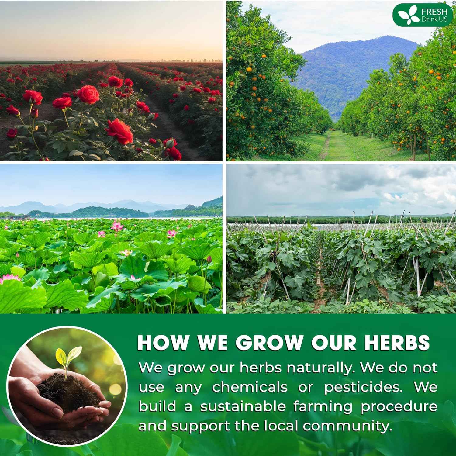 Oil Reducing Tea, Oil Cleansing for Liver, 10 Herbal Ingredients, Traditional Recipe Tea for Liver, 100% Natural, Easy Brewing, Steep Repeatedly (Tea Bags/ Tea Packs)