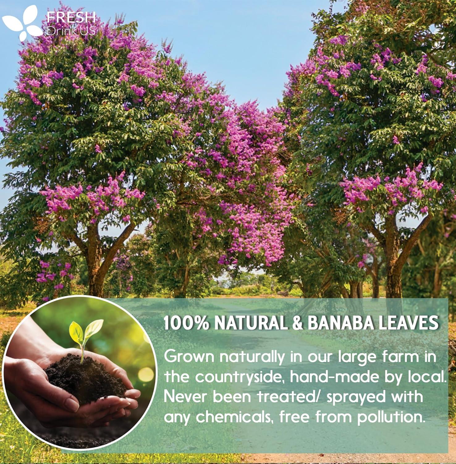Natural Banaba Dried Leaves, Tea Bags, Powder, Whole Banaba Leaves, 100% Pure Dried Banaba Leaves, Banaba Leaf Tea, No Additives, No Caffeine, Vegan by FreshDrinkUS - Natural and Premium Herbal Tea