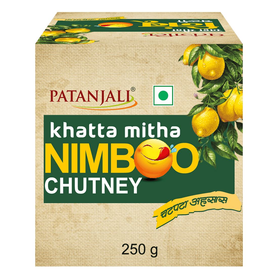 Patanjali Khatta Mitha Nimboo Chutney