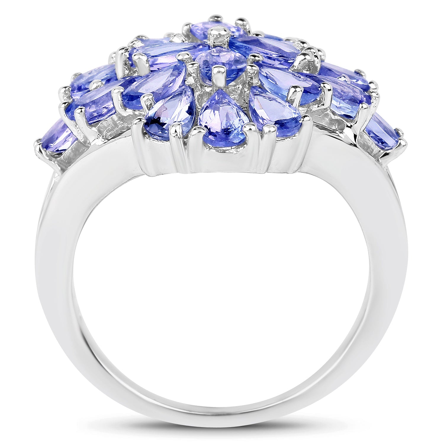 4.20 Carat Genuine Tanzanite .925 Sterling Silver Ring by Bids.com