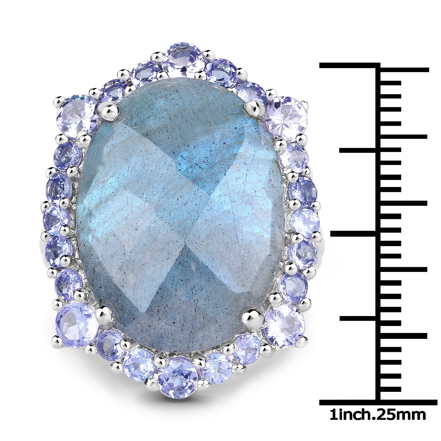 13.99 Carat Genuine Labradorite and Tanzanite .925 Sterling Silver Ring by Bids.com