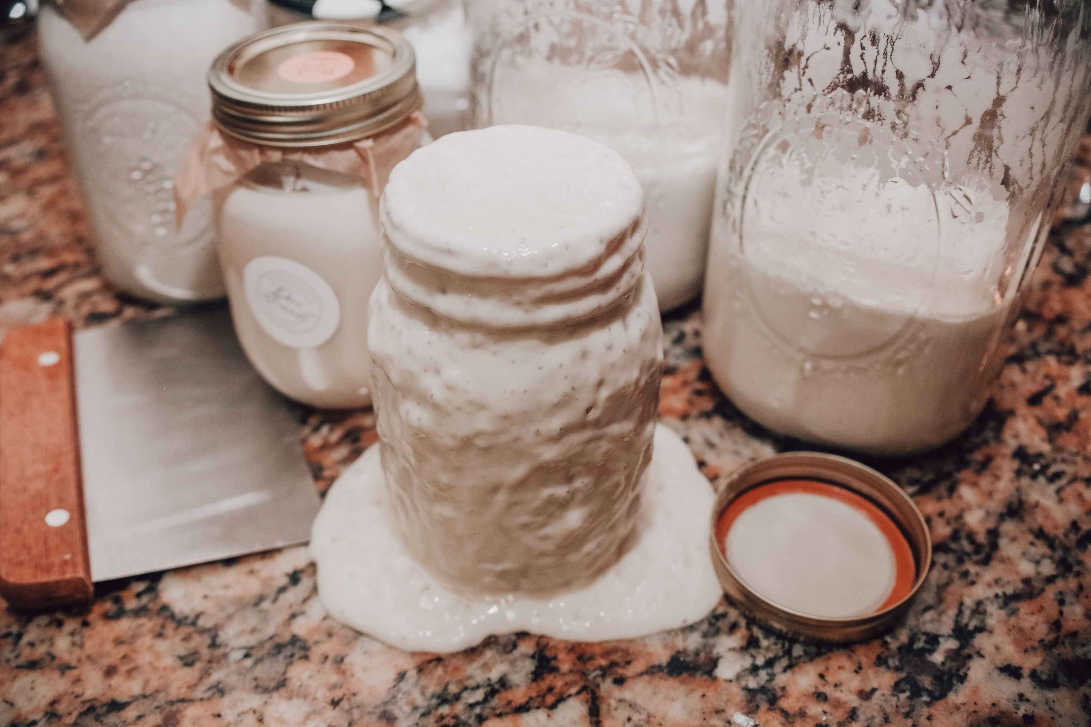 Onic Brands Sourdough Starter