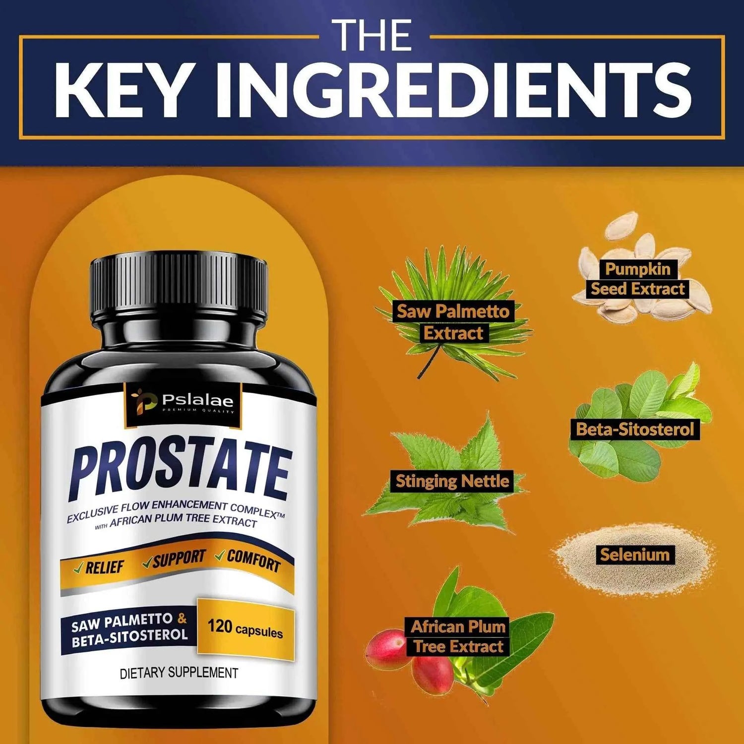 Prostate - Men&