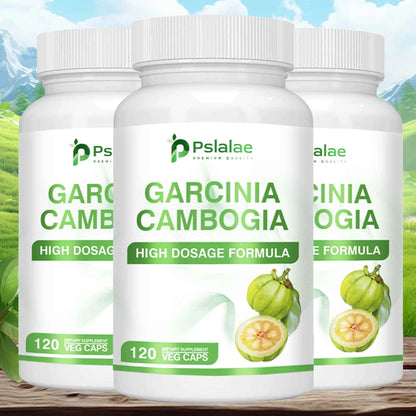 Garcinia Cambogia Health Supplement Appetite Suppression Metabolism Boost Energy Replenishment Colon Cleansing 120 Capsules