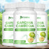 Garcinia Cambogia Health Supplement Appetite Suppression Metabolism Boost Energy Replenishment Colon Cleansing 120 Capsules