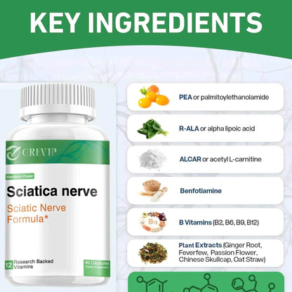 Sciatic Nerve Supplement - Nervous System and Joint Support - R-Alpha Lipoic Acid, Vitamin B Complex - 60 Capsules