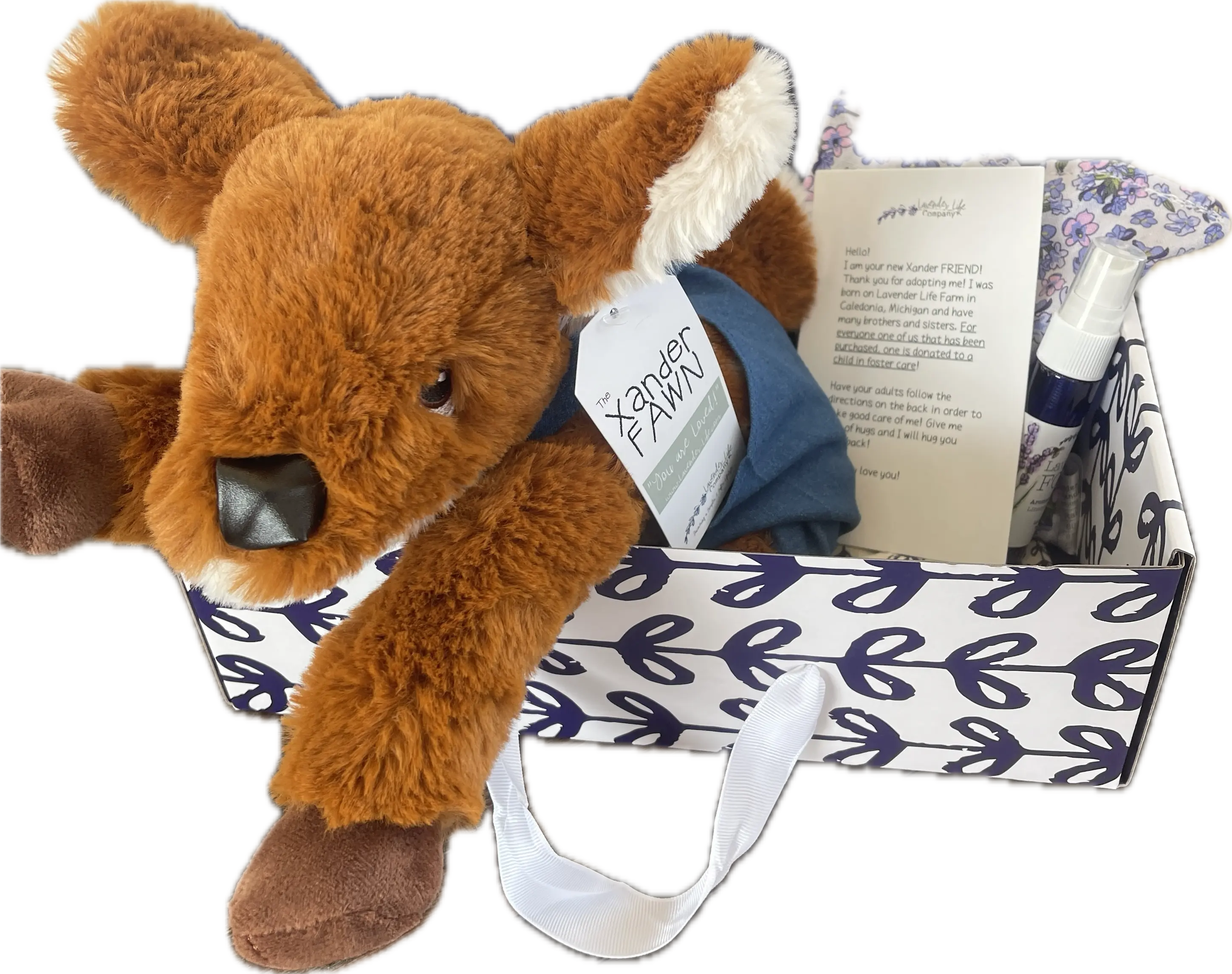 Xander Fawn- Freckles Gift Set with Clothing and More! by Lavender Life Company