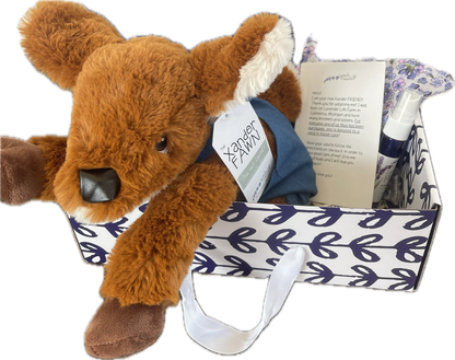 Xander Fawn- Freckles Gift Set with Clothing and More! by Lavender Life Company