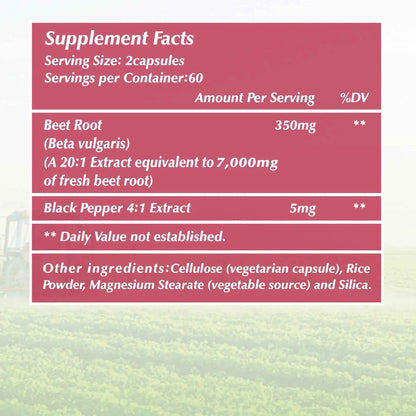 Beet Root Supplement 120 Capsules Supports Blood Pressure Athletic Performance Digestive Health Immune System
