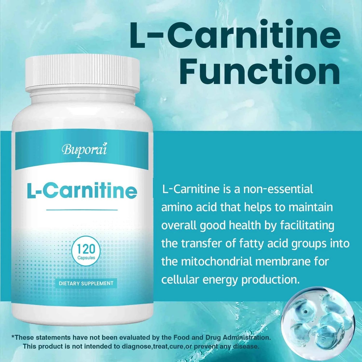 L-Carnitine Supplement - Promote Metabolism, Improves Memory, Burner Fat, Support Energy, Grow Muscles - 120 Capsules