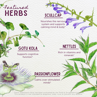 Attention Ally Focus Friend for Kids by WishGarden Herbs