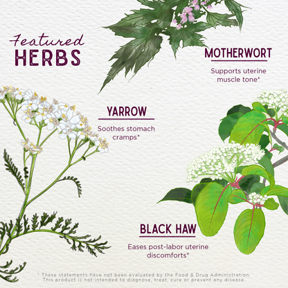 AfterEase For After Birth Contractions by WishGarden Herbs