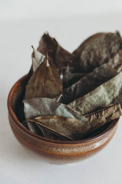 Soursop Leaf by Ancient Healing Teas