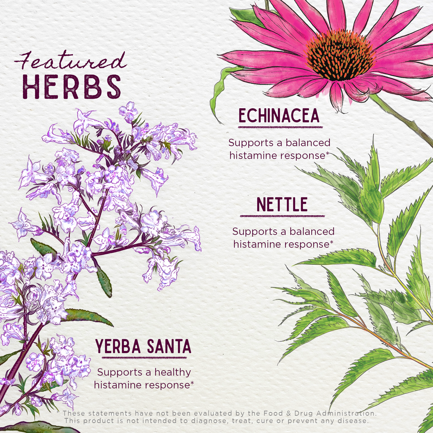 Kick-Ass Allergy Seasonal Rescue For Pregnancy by WishGarden Herbs