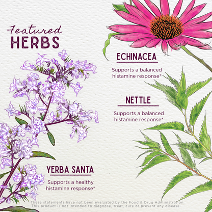 Kick-Ass Allergy Seasonal Rescue For Pregnancy by WishGarden Herbs