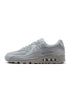 Nike Mens Air Max 90 - Wolf Grey by Denim Exchange