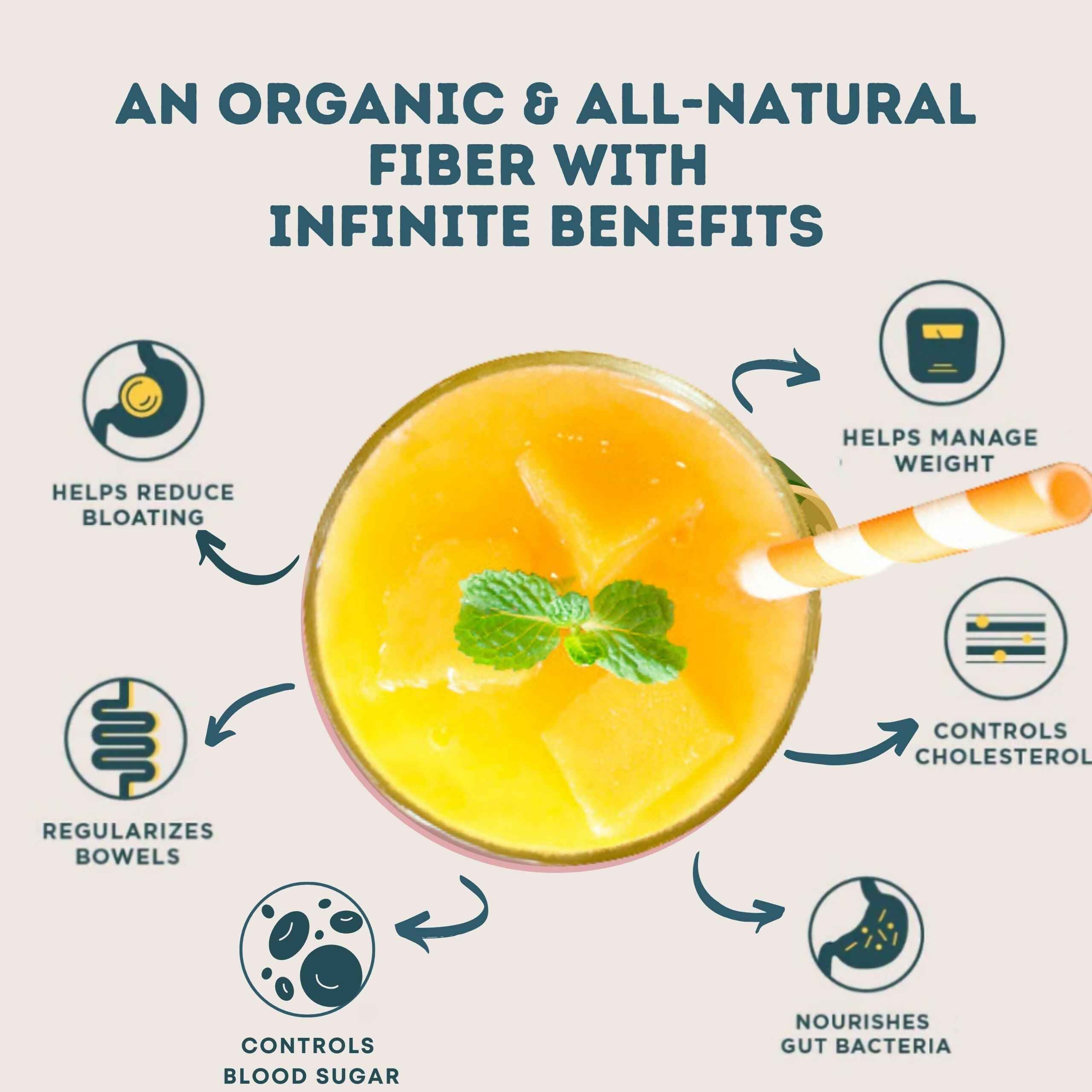 Wellbeing Nutrition Daily Fiber Powder - Vanilla Berry &amp; Pina Colada Combo