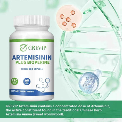 Artemisinin Supplement 100mg - Supports Digestion and Immunity, Improve Immune System, Supports Healthy Aging - 120 Capsules