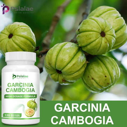 Garcinia Cambogia Health Supplement Appetite Suppression Metabolism Boost Energy Replenishment Colon Cleansing 120 Capsules