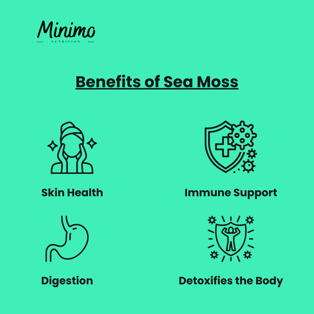 Sea Moss with Bladderwrack and Burdock Root, 60 ct. - DestGlow