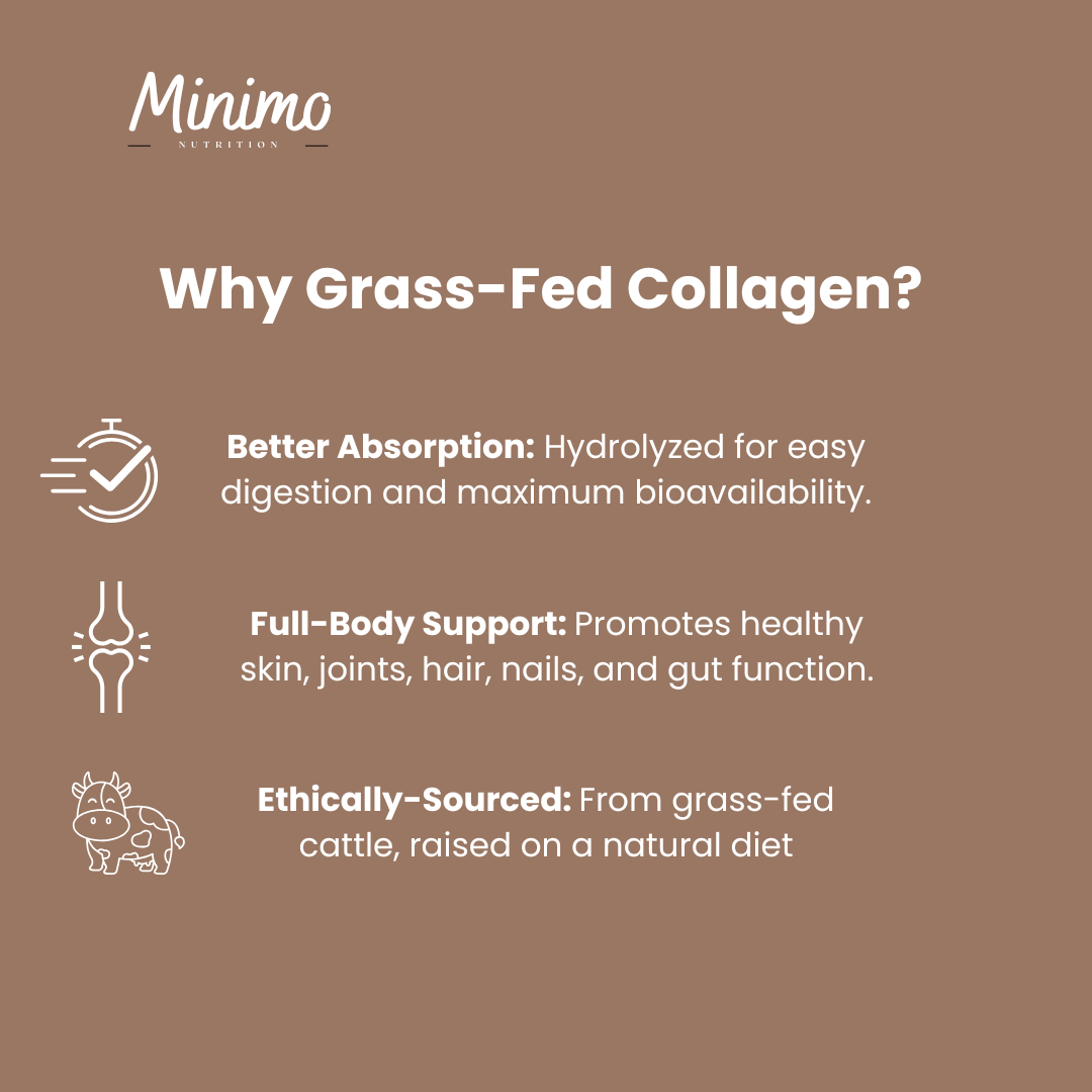 Grass-Fed Collagen Peptides Powder (Chocolate), 13.3 oz. - DestGlow