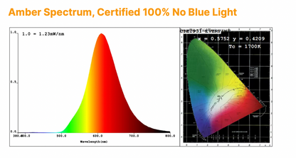 MoonNest - Circadian-Friendly Table/Desk/Nusery Lamp
