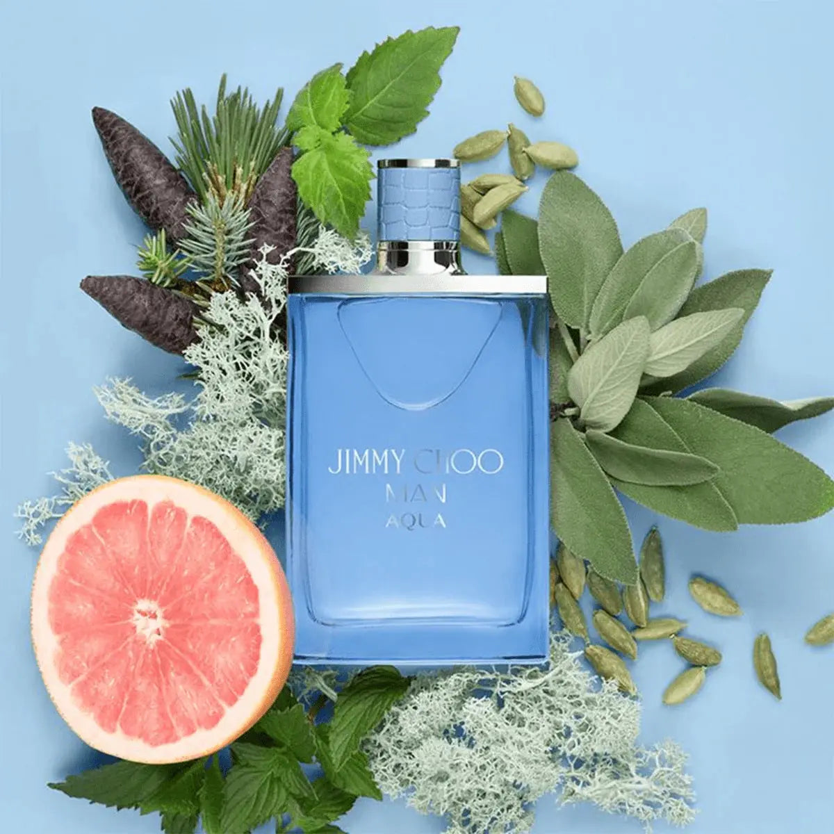 Aqua By Jimmy Choo For Men 3.4oz EDT Spray by perfumesandrea