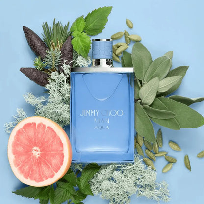 Aqua By Jimmy Choo For Men 3.4oz EDT Spray by perfumesandrea