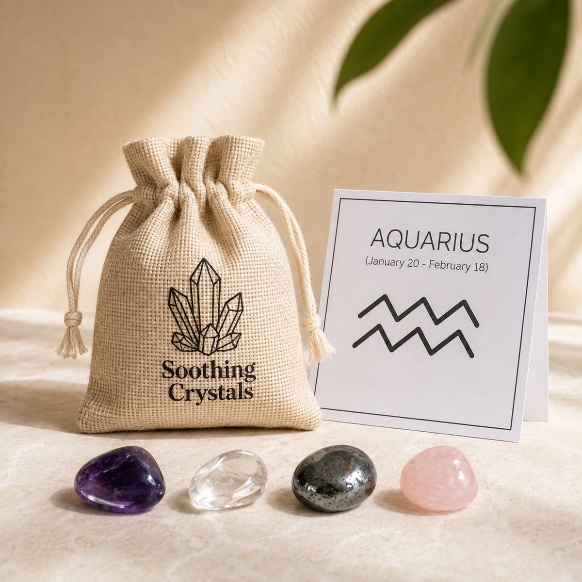 AQUARIUS Zodiac Crystal Kit, Aquarius Birthstones Tumbled Stones Set, Aquarius Gifts  DestGlow