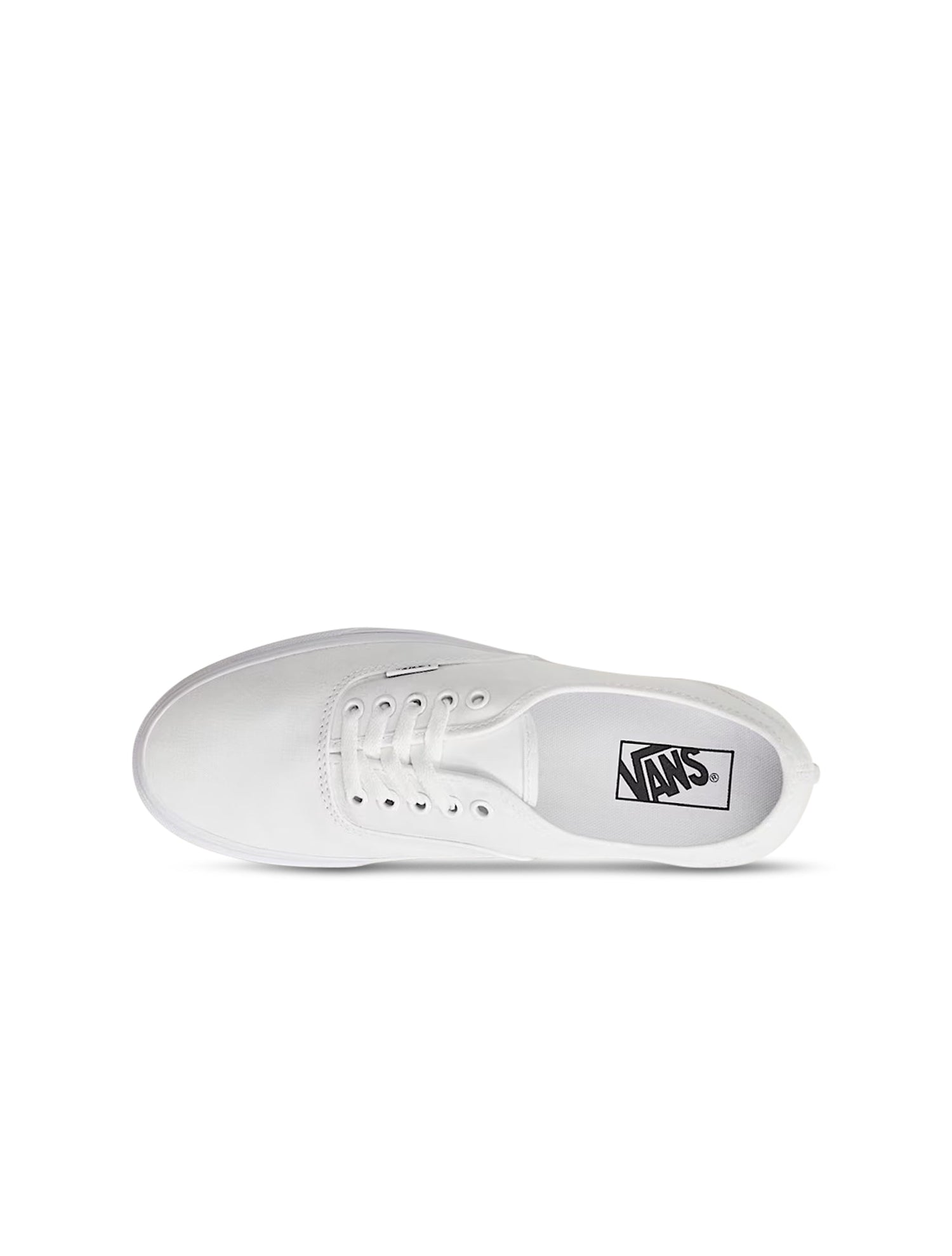 Vans Big Kids Authentic - True White by Denim Exchange