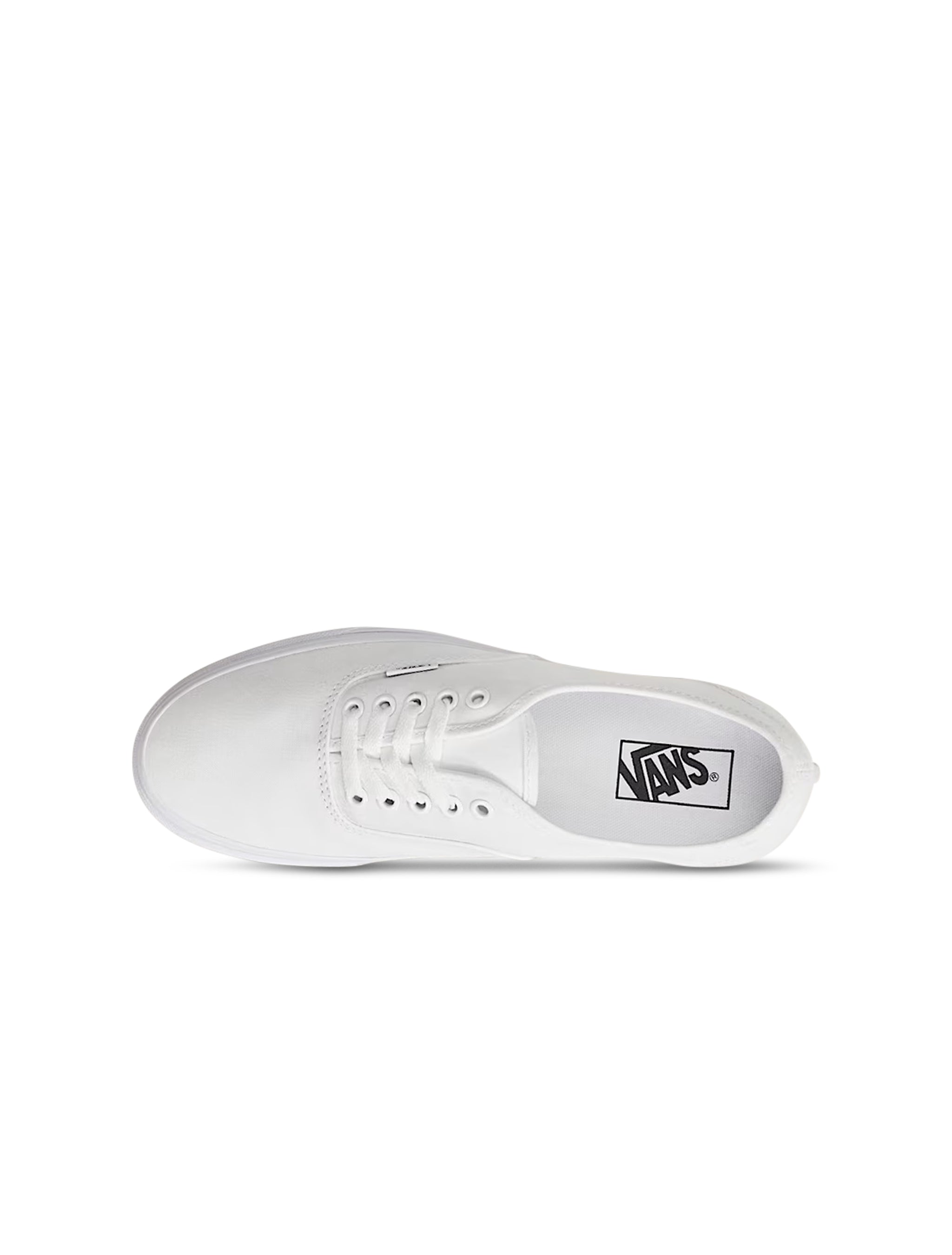 Vans Big Kids Authentic - True White by Denim Exchange