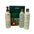 Aveda Invigorating AWE Rosemary Mint Hair & Body Essentials Gift Set by Nava Beauty