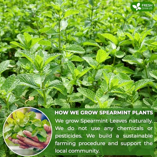 Cooling Heart &amp; Mood Soother Duo, Hibiscus Flower &amp; Spearmint Leaf Herbal Tea Bags, 100% Natural &amp; Pure Flowers and Leaves, No Sugar, No Caffeine, No Gluten, Vegan – Herbal Beverage by FreshDrinkUS - Natural and Premium Herbal Tea