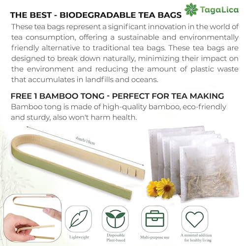 FreshDrinkUS Morning Vitality Digest &amp; Detox Mix, Fennel, Ginger &amp; Lemongrass Herbal Tea Bags Bundle, 100% Natural &amp; Pure Seeds and Leaves, No Sugar, No Caffeine, No Gluten, Vegan, Biodegradable Tea Bags, Hand-Made Process – Herbal Beverage by FreshDrinkUS - Natural and Premium Herbal Tea